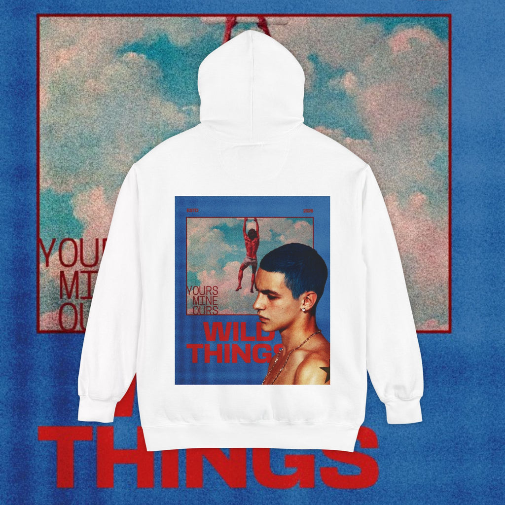JuiceBoxClub Presents: "Wild Things" graphic Hoodie | vintage sky collage